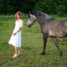 Anden særlig race Latino