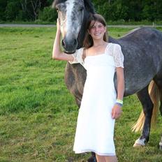 Anden særlig race Latino