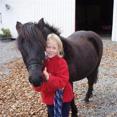 Anden særlig race R.I.P Robin<3<3