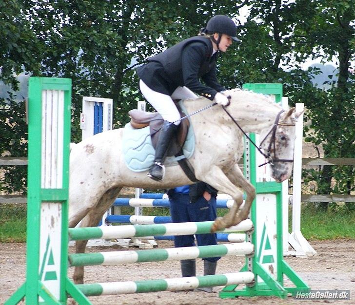 Anden særlig race Snow Girl *Min stjerne* - Første LC i HARK. :D billede 16