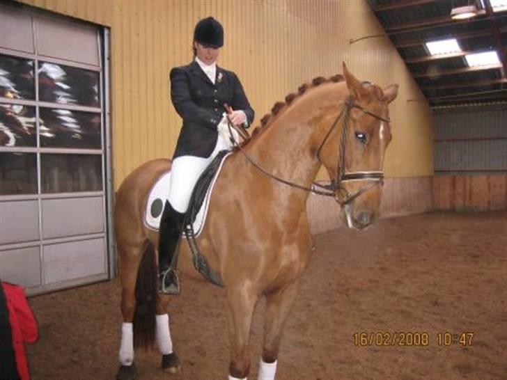 Dansk Varmblod Lathin - Stævne i vemmelev blev nr. 3 i la2 m. 67.9 billede 4