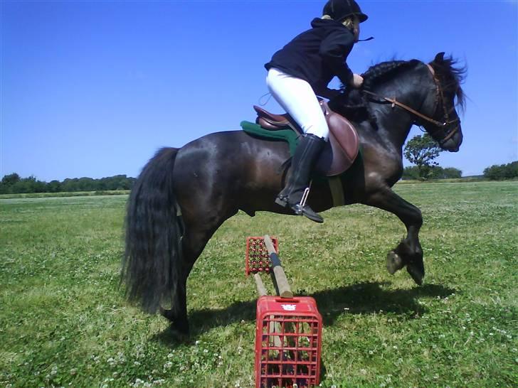 Anden særlig race Bob-Marley - Et lille spring. billede 15