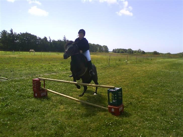Anden særlig race Bob-Marley - Et lille spring. billede 16