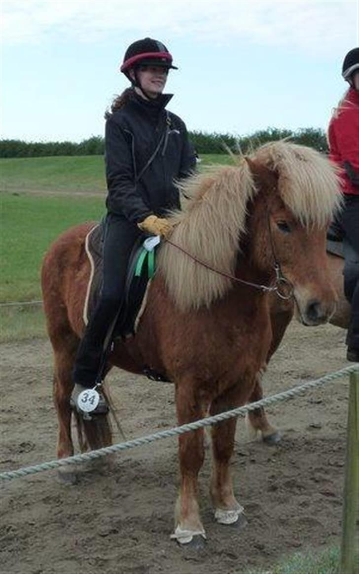 Islænder Dani fra Vissegård - 3. plads i tølt :) <3 Elsker den hest <3 Foto: mormor billede 14