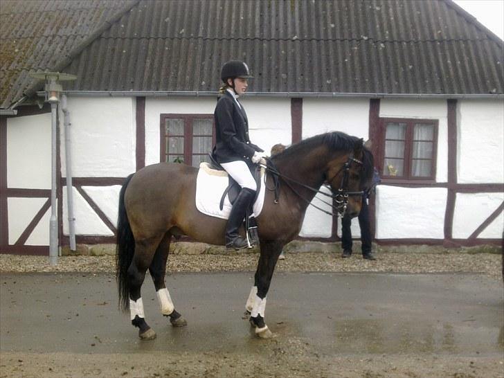 New Forest Bjørndal's Artist - Til konfirmation 2010<3 billede 16