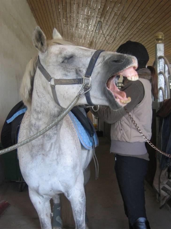 DSP Mr. Happy Goes Lucky billede 12