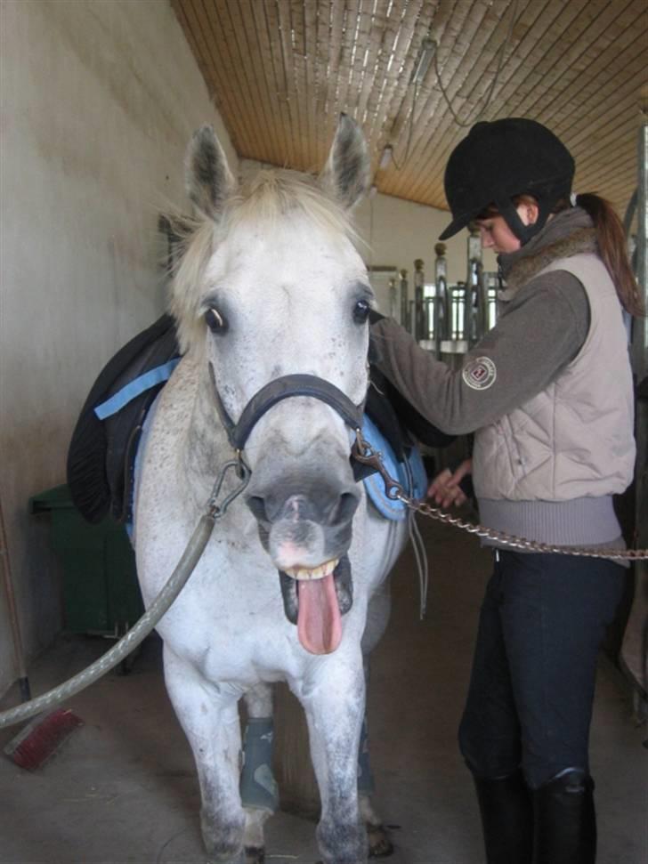 DSP Mr. Happy Goes Lucky billede 13