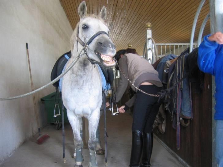 DSP Mr. Happy Goes Lucky billede 15