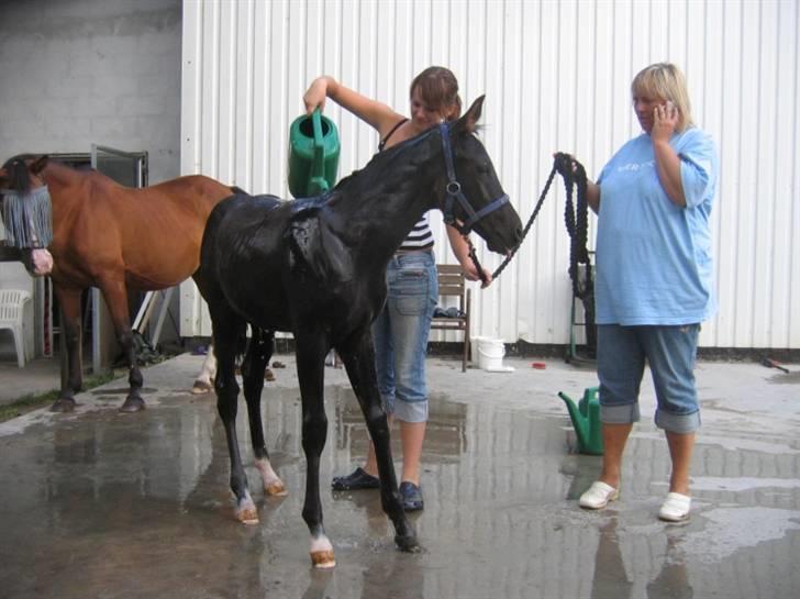 DSP moonjam´s classic touch  billede 13