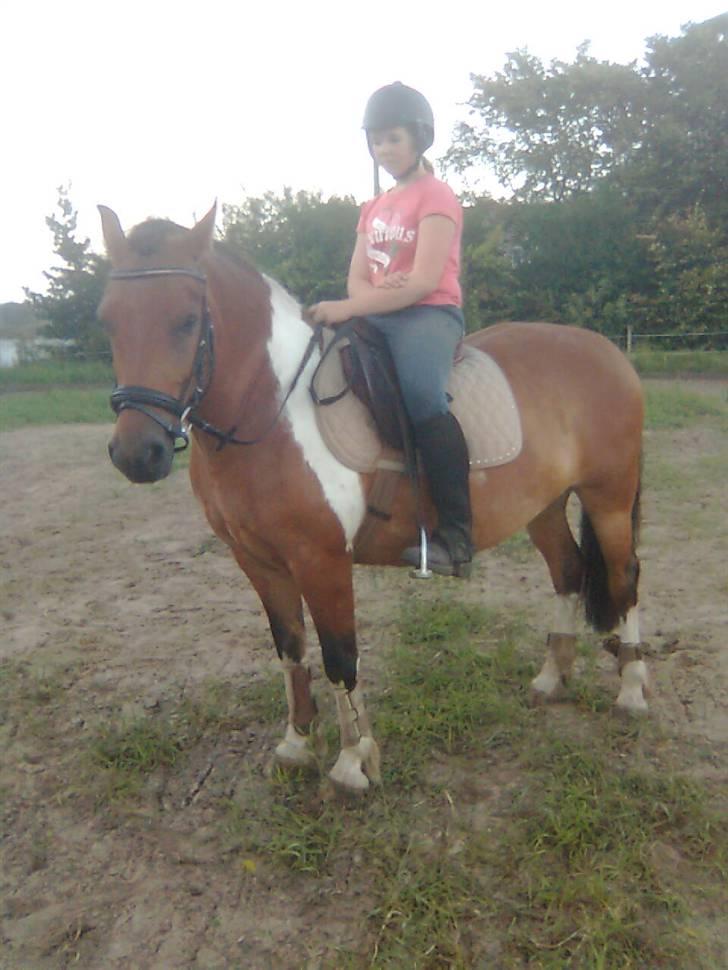 Anden særlig race Victoria - Victorias fine parade :-) billede 1