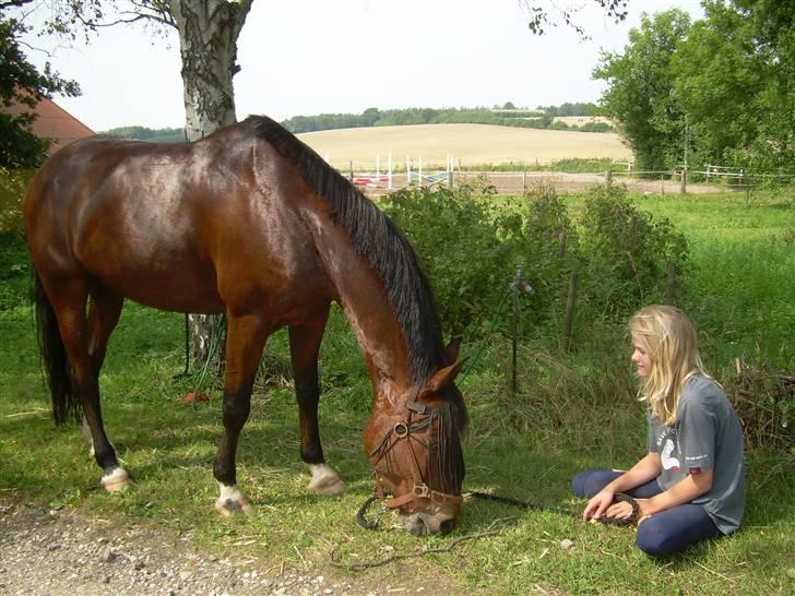 Anden særlig race Kalif - Lige efter han var blevet vasket : D billede 5