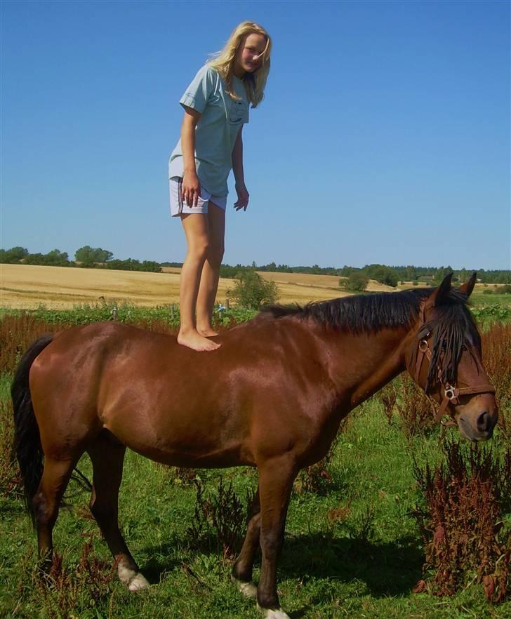 Anden særlig race Kalif billede 7