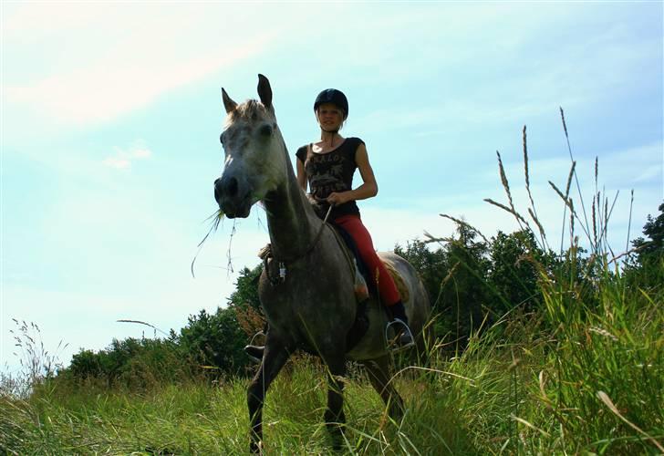 Anden særlig race Tara - 8. er så stolt af min farlige, vilde pony! som nu er blevet til den bedste, rolige og søde pony! :D<3 billede 7