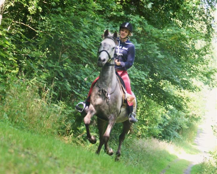Anden særlig race Tara - 17. The thunder of hooves, that makes my heart race. billede 16