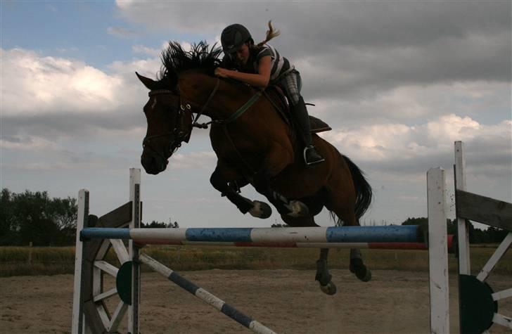 Hollandsk Sportspony - Loyce <3 - mig og loyce springer 130 var det vidst ;b rimelig flyvende billede xD billede 17