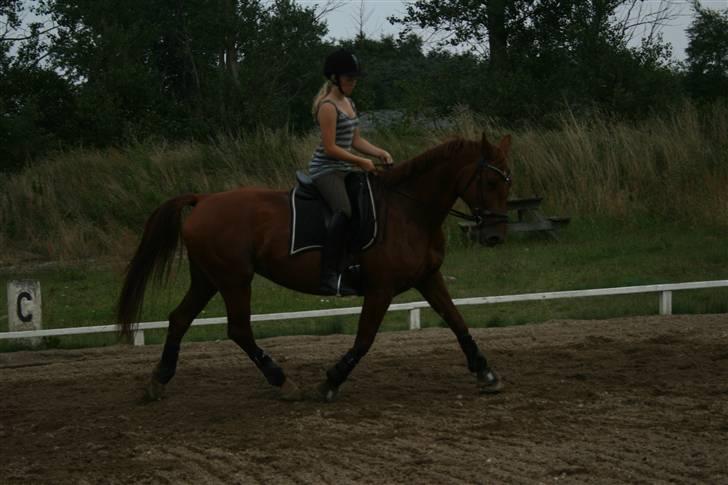 Frederiksborg Docill Jomfrugaard billede 9