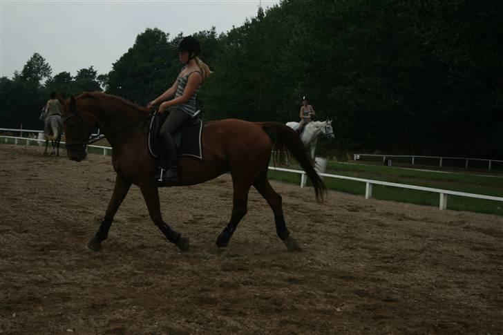 Frederiksborg Docill Jomfrugaard billede 10