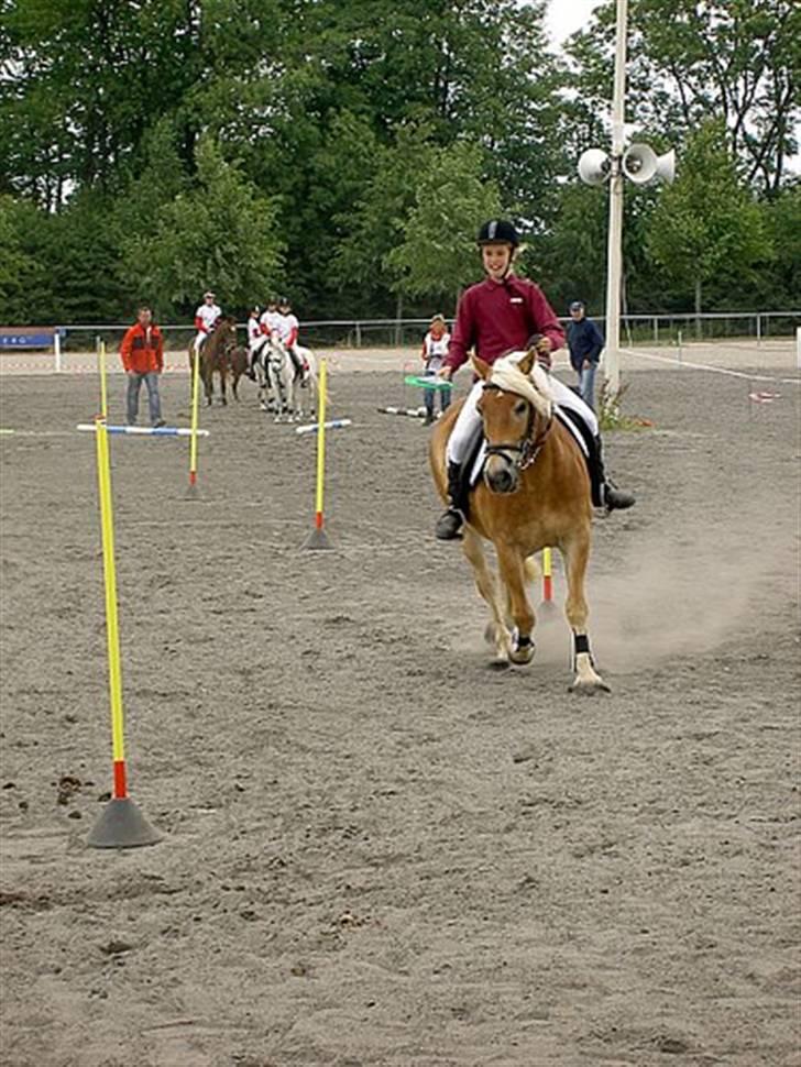 Anden særlig race Odin  - Bodde til DM <33 en 3. Plads ;o) JEG ELSKER DIG, SKAT <3 billede 5