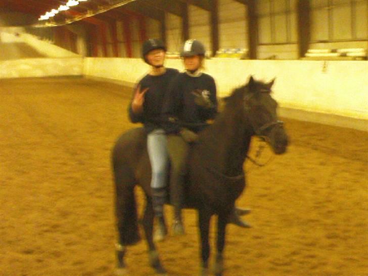 Anden særlig race Lotus Royal - Leg var der også plads til  billede 20