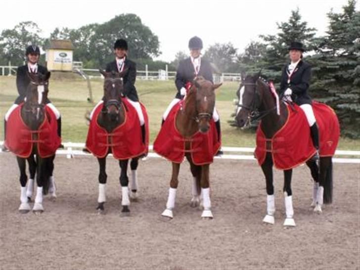 Dansk Varmblod Lathin - Hold distriksmesterskab 08 Lathin nr 2 fra højre billede 11