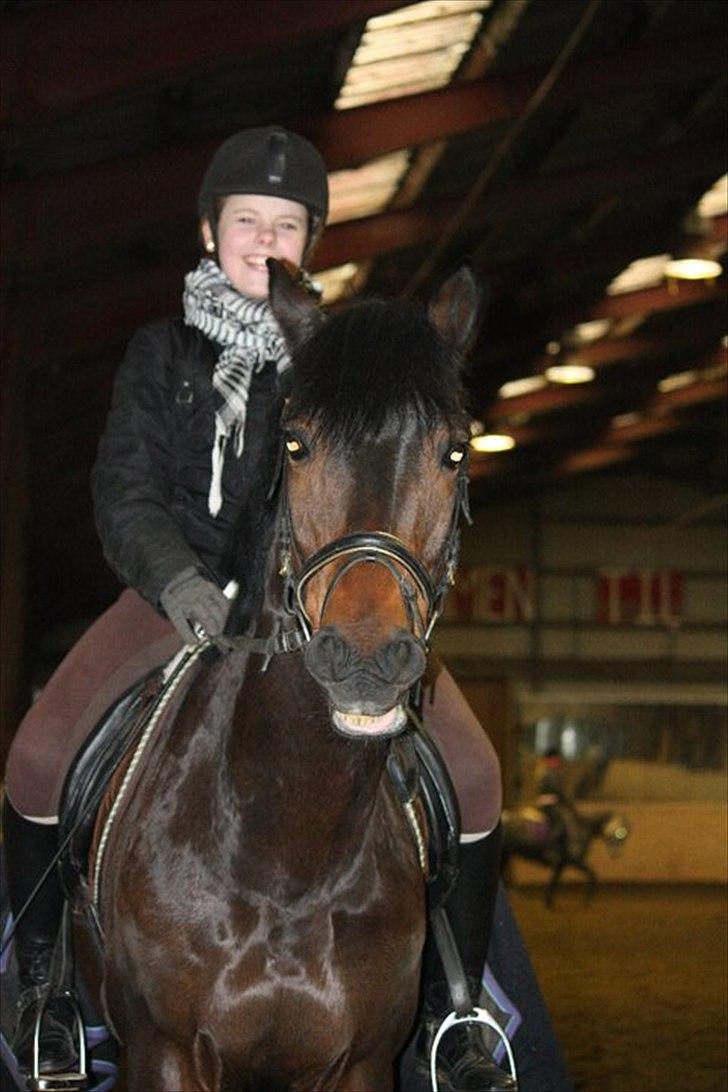 New Forest elmholts Granat - NYT!!Et smil fra Granat og jeg på efterskolen :) Fotograf: Sofie billede 2