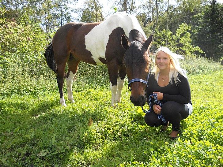 Pinto Skovvangs Cherokee R.i.p  billede 16