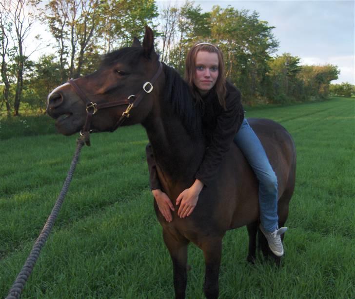 New Forest Birkilds Fortuna billede 14