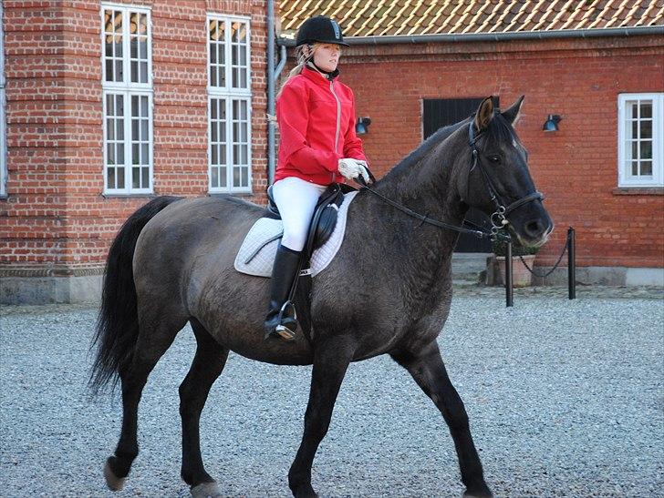 Anden særlig race Julle - Jagt ved Hindsgavl. D. 17. okt 2010 billede 8