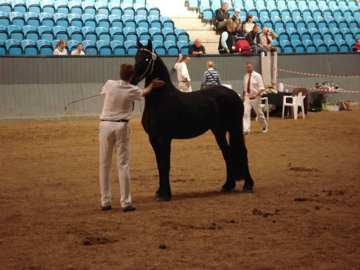 Frieser Mira of Paradise~gl halvp - kåring igen :) billede 7
