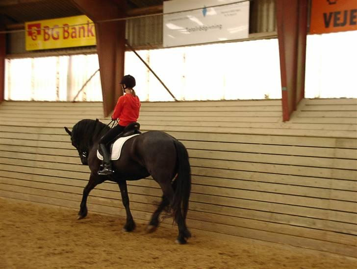 Frieser Mira of Paradise~gl halvp billede 10