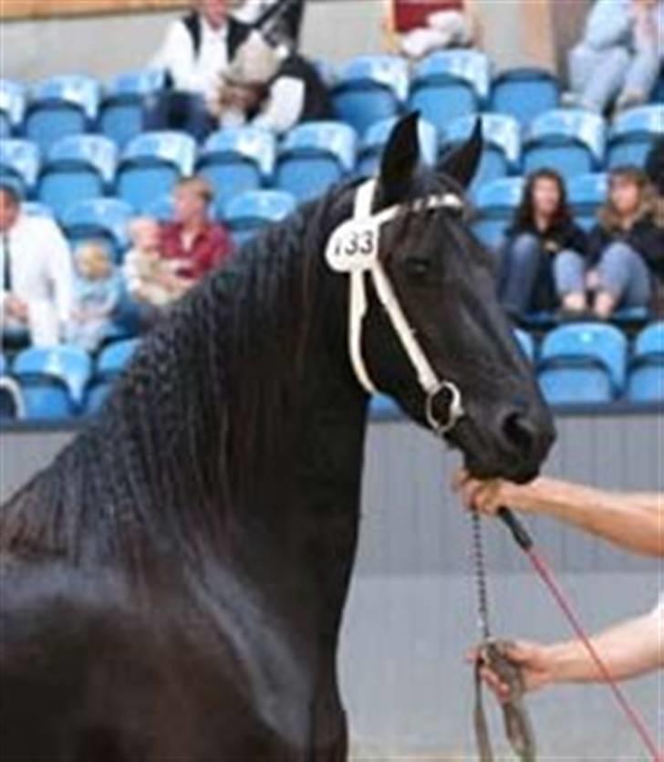 Frieser Mira of Paradise~gl halvp billede 11