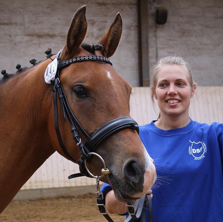 DSP Møgelholtgårds Kiss Me B-PONY - DSP hoppe kåring Ikast den 19.06.10 - venter på vi skal ind til oprangering billede 14