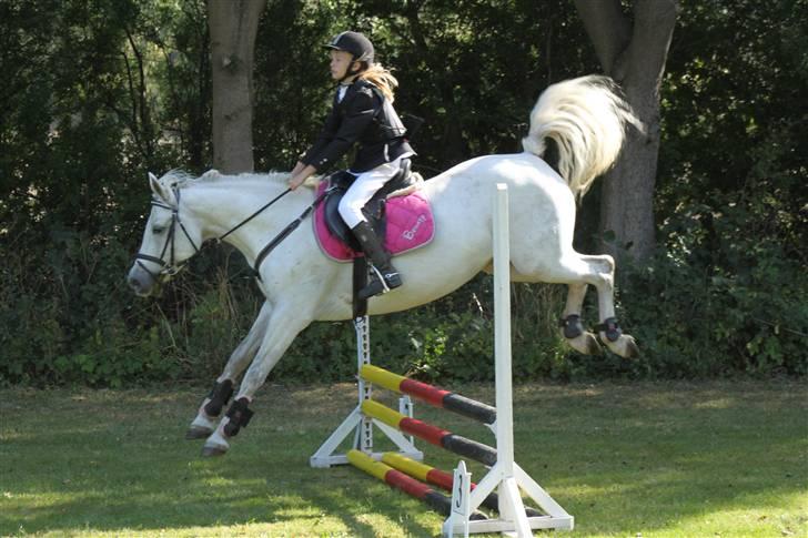 Connemara Bakkedals Bounty  - spring stævne d. 19/9 2009 billede 10