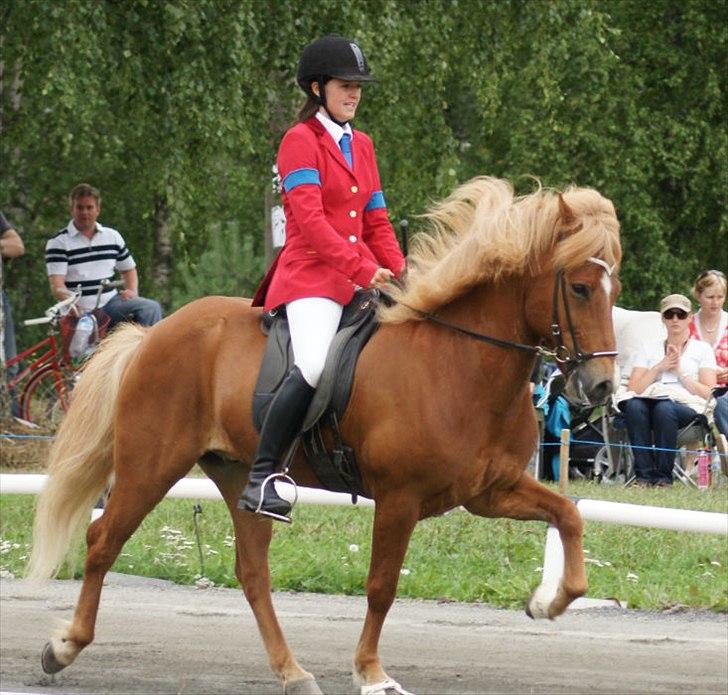 Islænder Abel fra Frederikshvile - Arb. tölt til Nordisk Mesterkskab 2010 i Finland. 6.73 i snit. (Foto: Sebastian Aagaard) billede 16