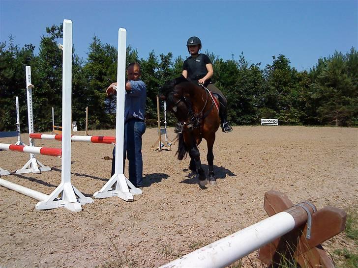 Connemara Bobby Af Boest-Nørregaard - Han bliver lige sat på plads ;D billede 2