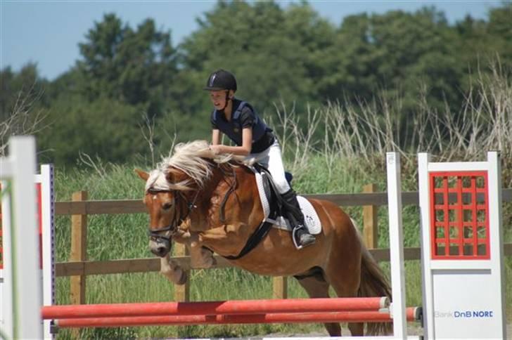 Anden særlig race Odin  - 70 igen <333 <3333  billede 10