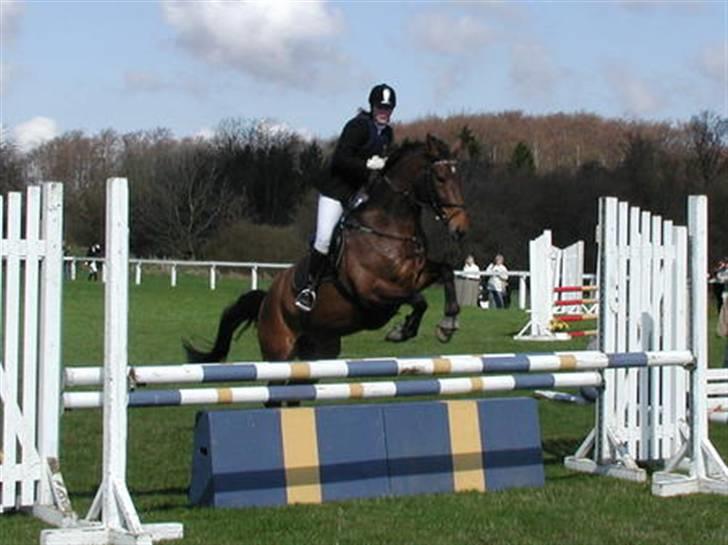 Anden særlig race Romeo R.I.P. - Spring stævne i nordsjælland billede 20