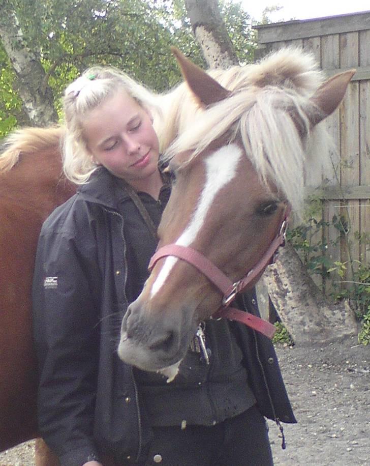 Anden særlig race Blondie<3 Min prinsesse<3 - Da jeg var ude og sige hej til dig skatte<3 :* Du var så glad<3 Fik lov til at sadel dig på<3 Gode minder i:<3 Savner dig min pii<3 billede 15