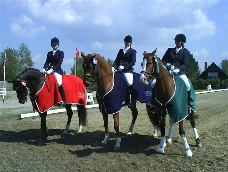 Dansk Varmblod Lathin - Nr. 2 til Næstved storcenter cup finale 08, det er ham i midten. billede 17