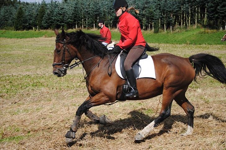 Dansk Varmblod Slumstrups May boy - Mayboy og jeg til Tobohøj jagt 2010 billede 3