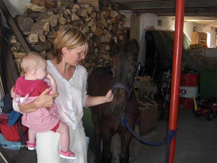 Frieser  # BLAKE # solgt - her ser vi blake for første gang ( juli 08 ) billede 4