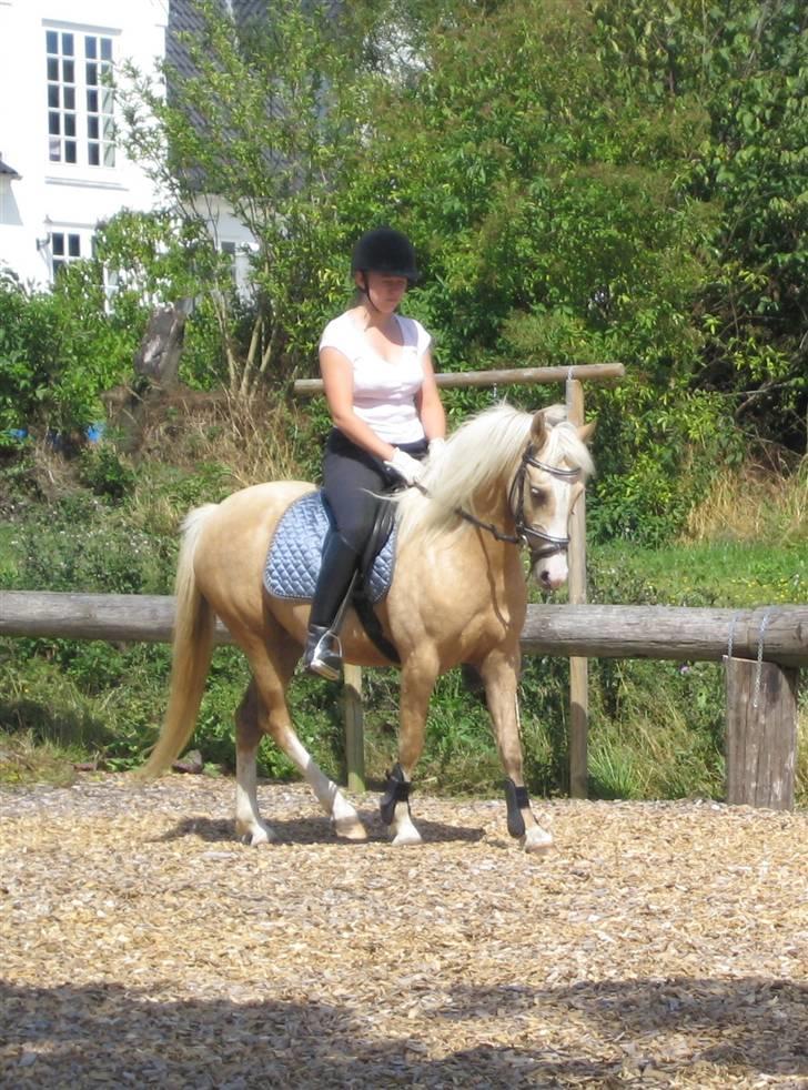 Palomino Nathalie"solgt d.12/9-10" - Mig og Nathalie ;) Så fin og dejlig! billede 9