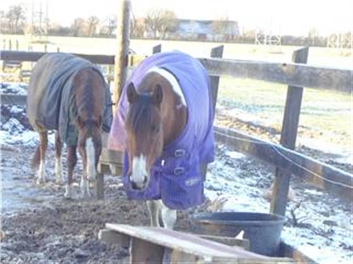 Paint Mount Up'n Go - Mulle Och Nicke vintern 05 billede 13