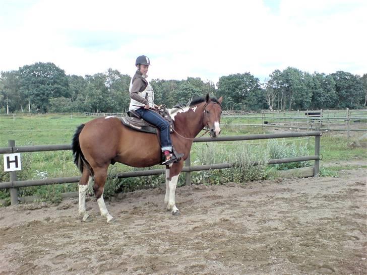 Paint Mount Up'n Go - Mulle &  jag ett ridpass 2007 billede 17