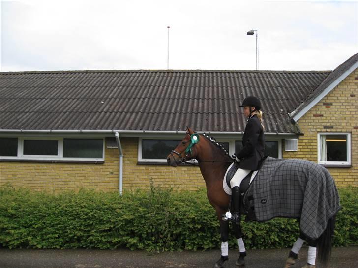 New Forest spitfire R.I.P. :'/ - sevel :)  billede 12