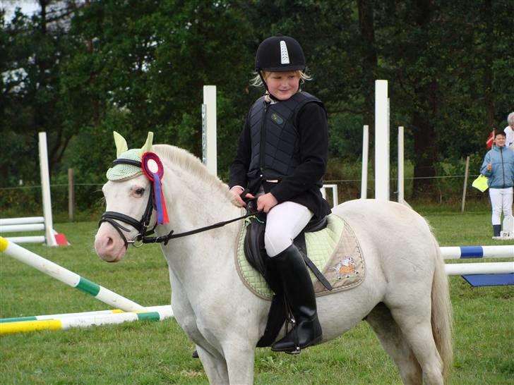 Welsh Pony af Cob-type (sec C) Ginie *UDLÅNT* - Mette og Ginie 2008 mette fik lov at starte sit første stævne på Ginie i BSR (baby jump) billede 19