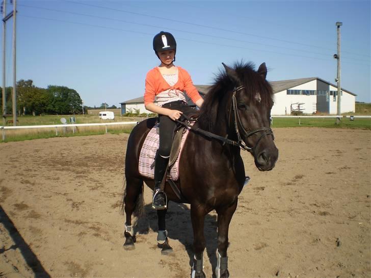 Anden særlig race TiMon  -solgt  - Hehe her matcher jeg liidt med blusen, men han har ikke sine nye bandager på :S Gad ikke ti lat give ham dem på :S billede 18