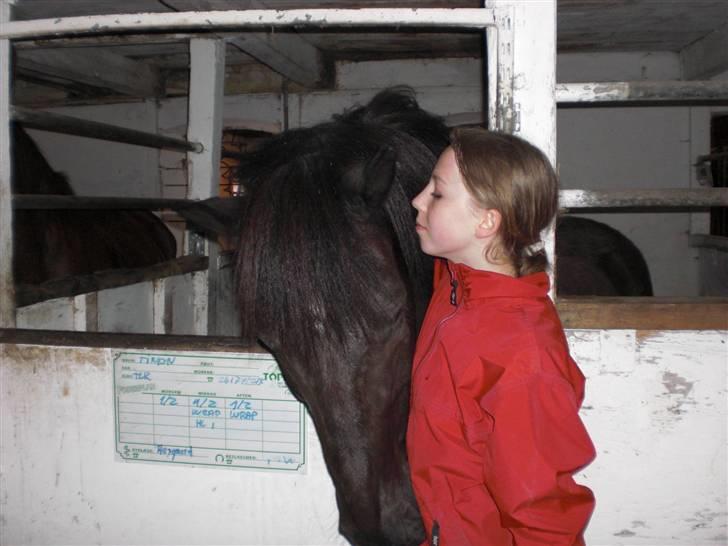 Anden særlig race TiMon  -solgt  - Min lille ynglings <3333333333333333333 billede 19