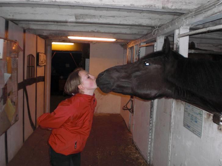 Anden særlig race TiMon  -solgt  - .-*Myyys min musling*-. billede 20