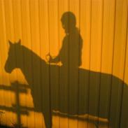 Anden særlig race Trunte(gammel part)